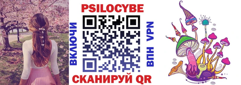 Галлюциногенные грибы Psilocybine cubensis  купить   Перевоз 